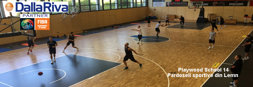 Parchet Sportiv Playwood 14